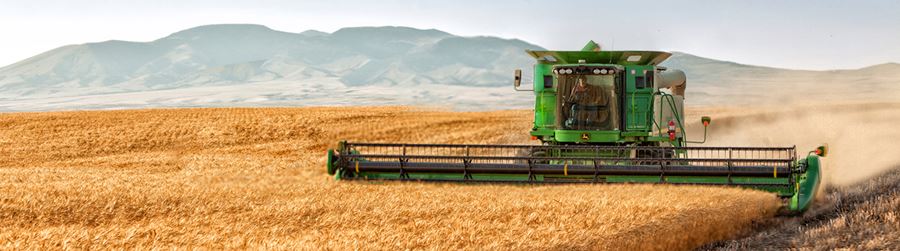 combine going through field of wheat